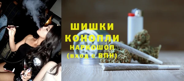 амф Вуктыл
