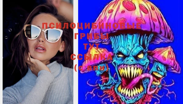метадон Новодвинск