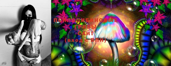 метадон Новодвинск