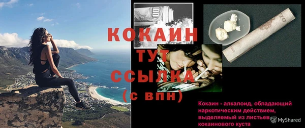 метадон Новодвинск
